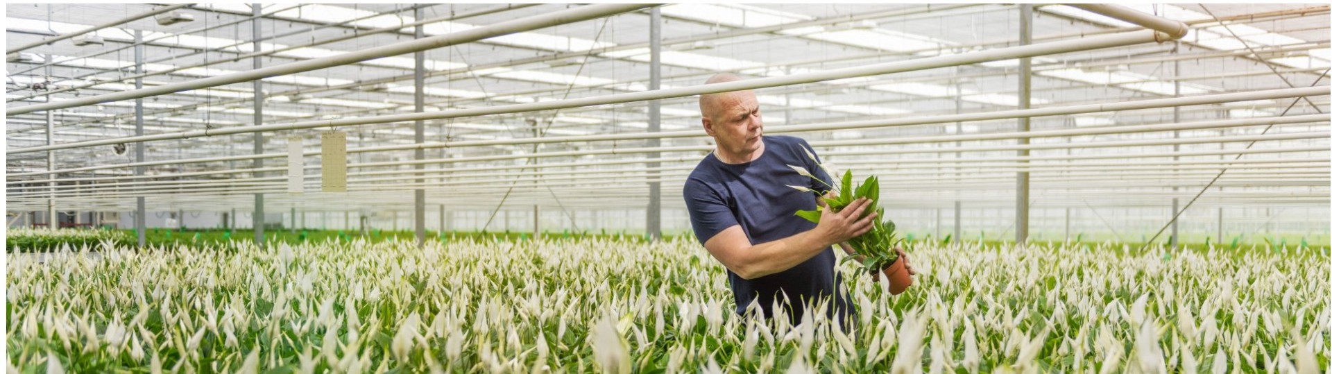 Sazas Uw Verzuimspecialist