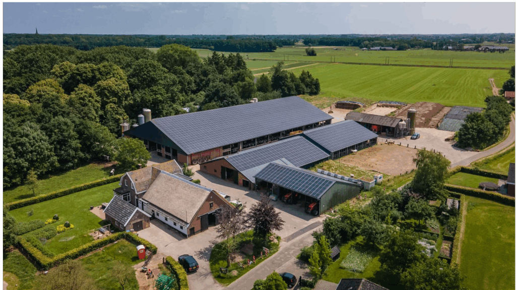 PROJECT – Agricultural roof renovation