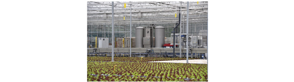 Water IQ International B.V.