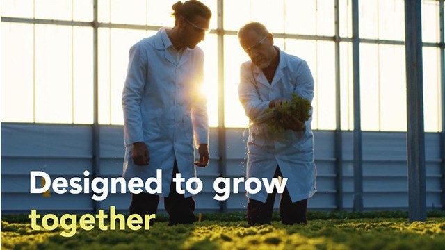 Customer Service Employee