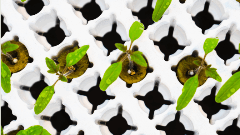 Vermiculiet-vrije Funnel M plug