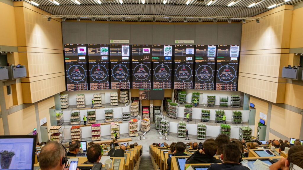 Purchasing in the auction room