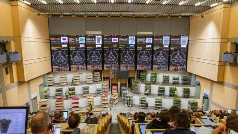 Purchasing in the auction room