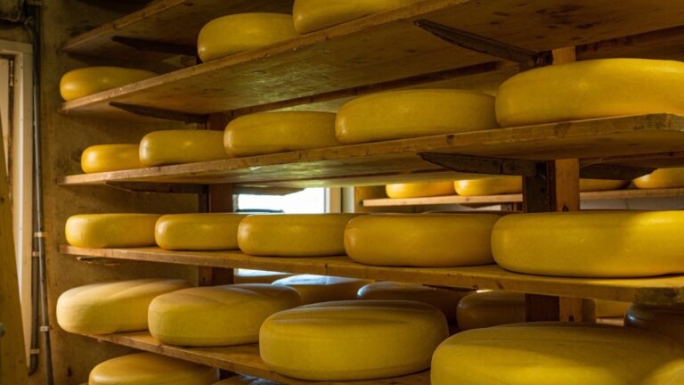 Baas over eigen energie