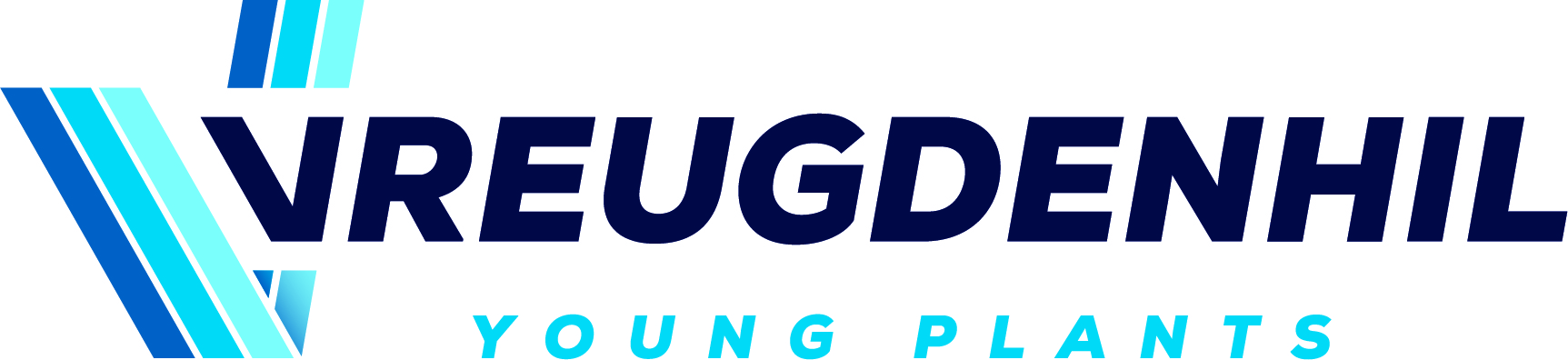 Vreugdenhil Young Plants