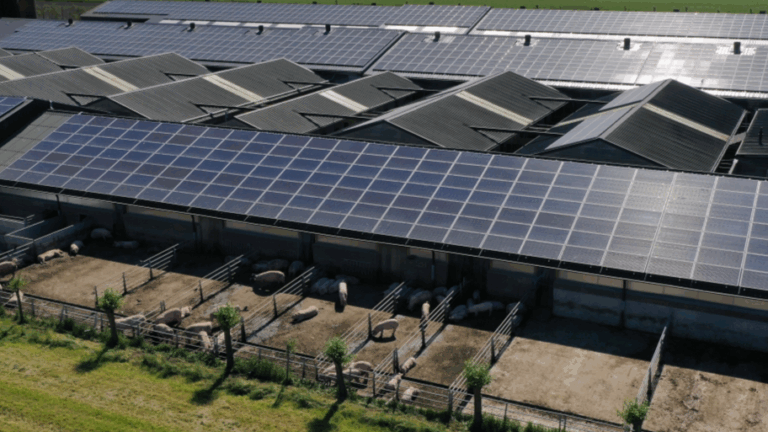 Agrarisch project Heusden