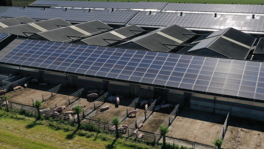 Agrarisch project Heusden