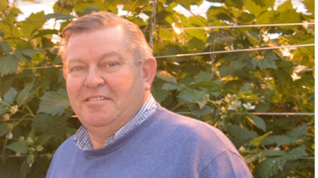 René Polak has been appointed Sales Director Horticulture at the Ushio Group