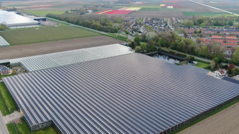 Nieuw leven voor broeikas van Zonnewijzer B.V.