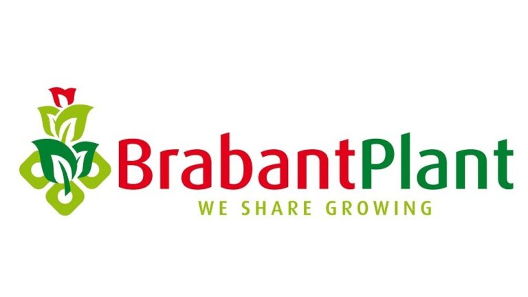 Brabant Plant