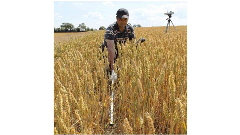 SunScan Standaard systeem SS1-STD3