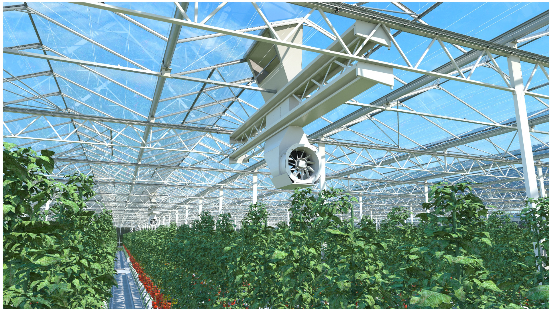 Dalsem Air Semi-Closed Greenhouse Solutions