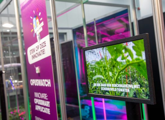 Seijbel Photography--308