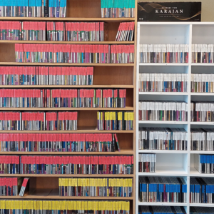 Een foto van een kast met daarin een groot aantal boeken, ze zijn geordend op kleur