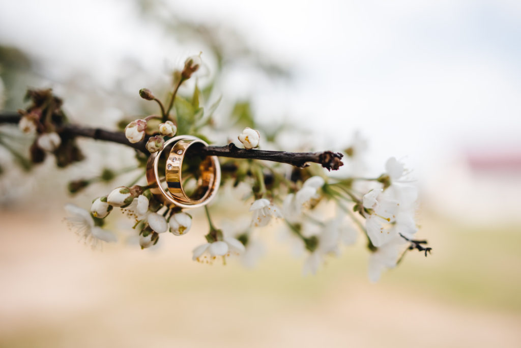Een foto van een bloesemtak, met daarin 2 trouwringen die in de tak hangen