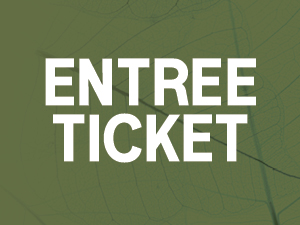 Witte tekst 'ENTREE TICKET' op groene achtergrond
