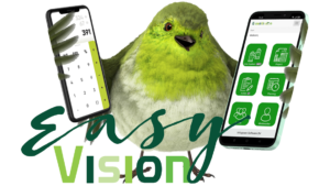 EasyVision
