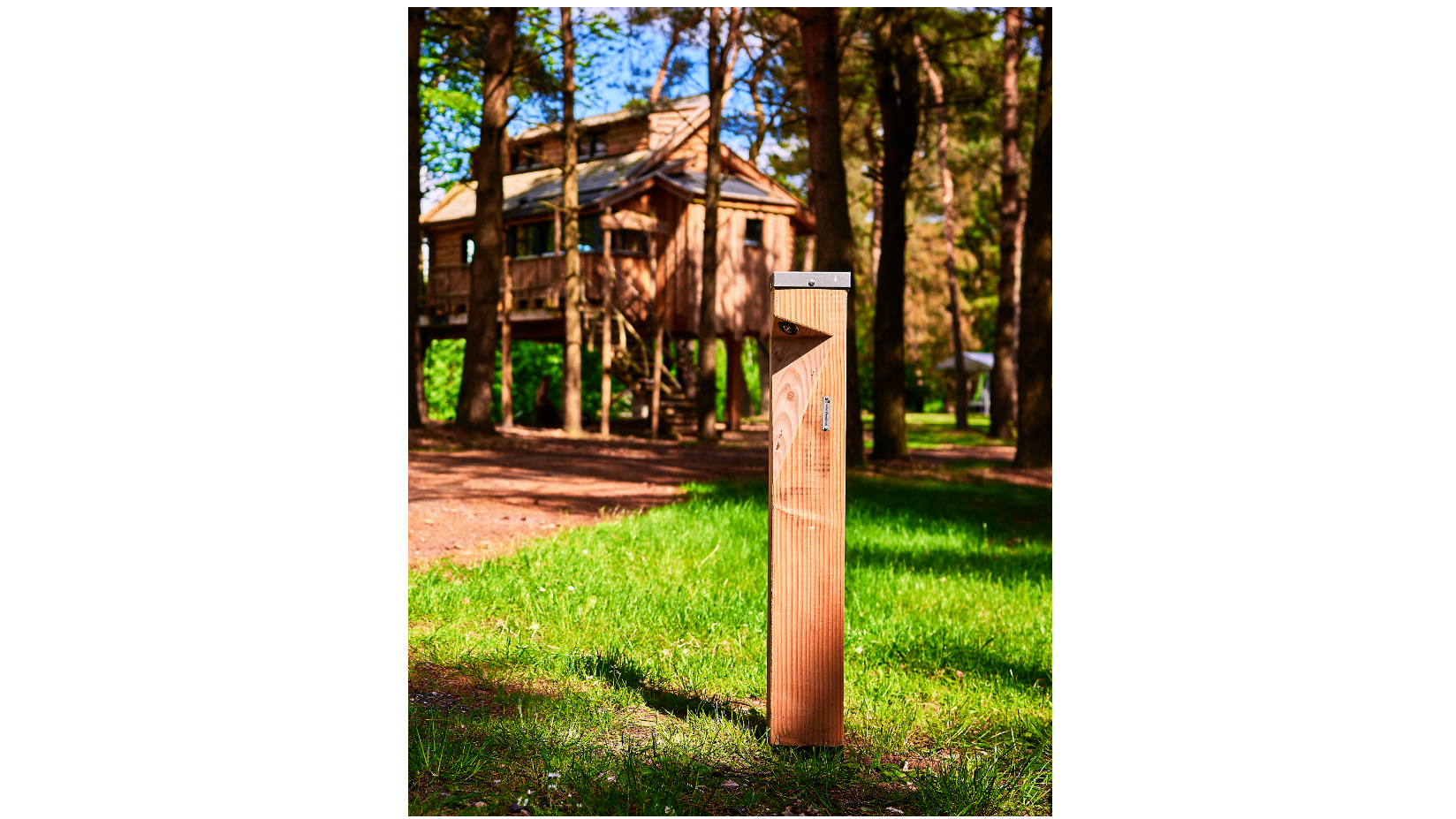 woodle-standard-green