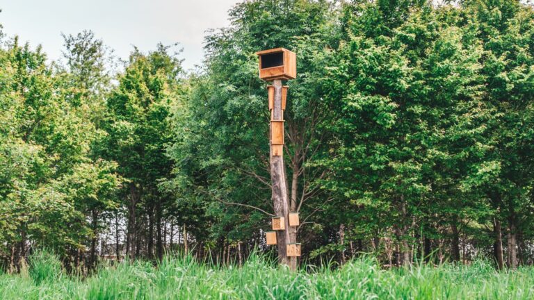 Poteau faunique combiné