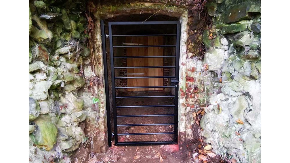 (Ré)aménagements des caves aux chauve souris