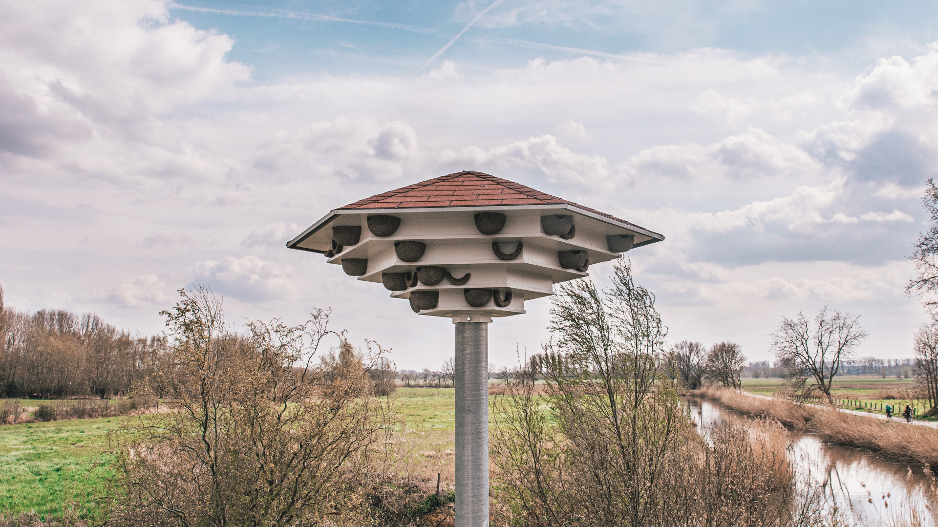 Nichoir d’hirondelles domesiques