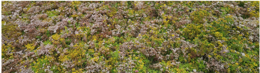 Maris Green Solutions