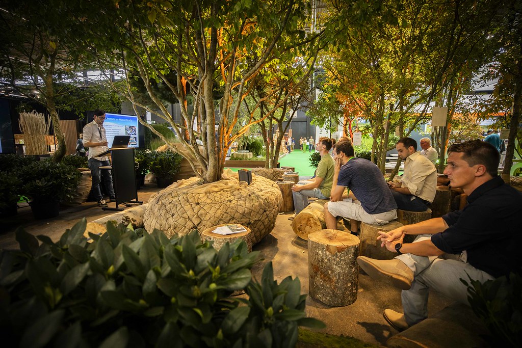 54031373852_52706f6cb4_b