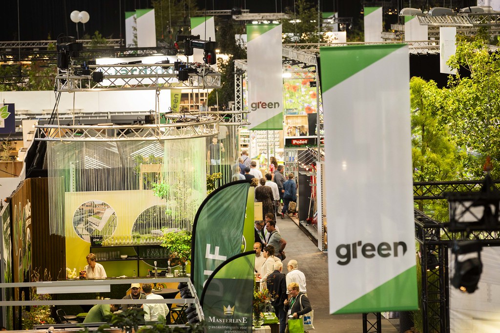 54032486813_2ccf05085c_b