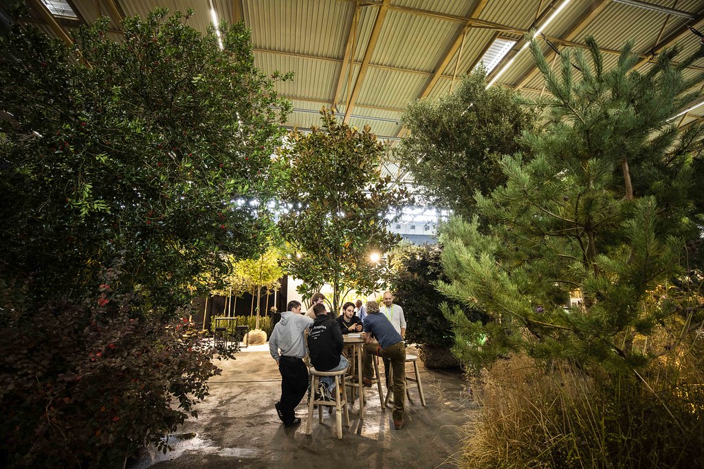 54032492373_853f955687_b