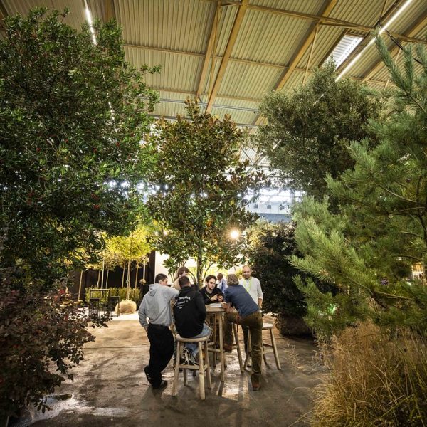 54032492373_853f955687_b