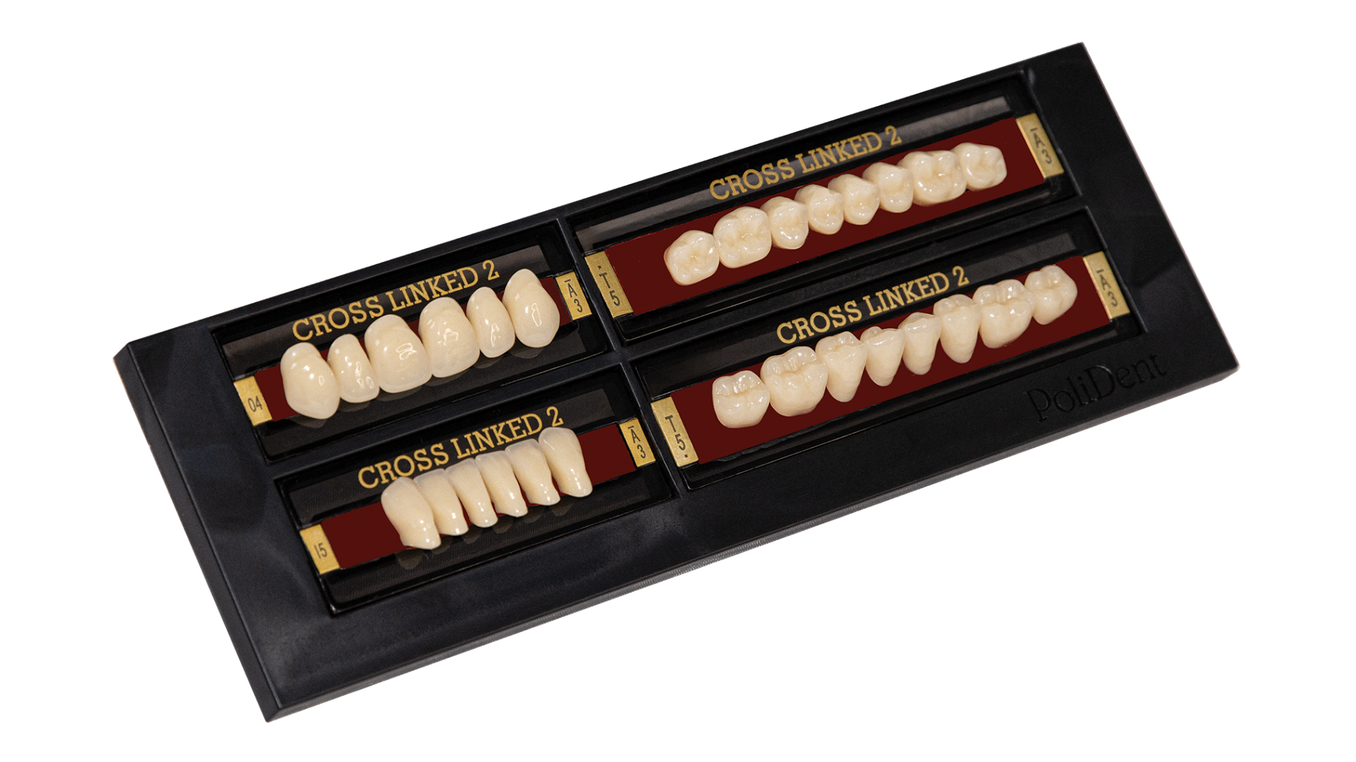 Cross Linked 2 artificial acrylic teeth