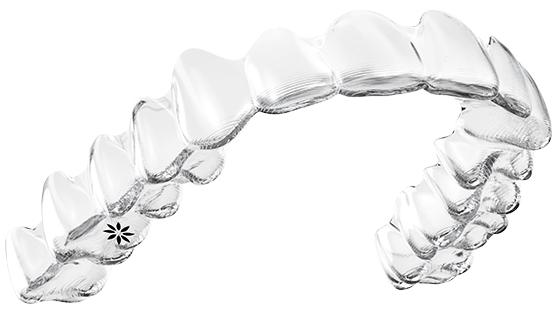 The Invisalign system