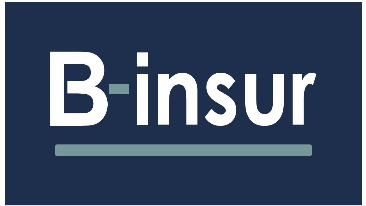 B-insur BV