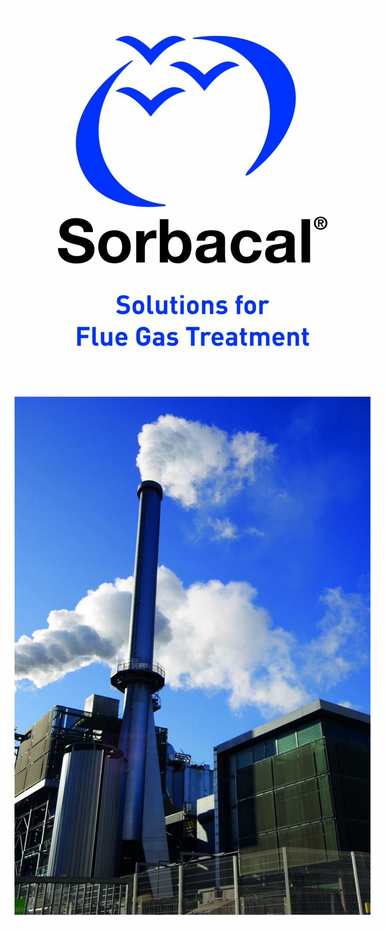 Sorbacal®