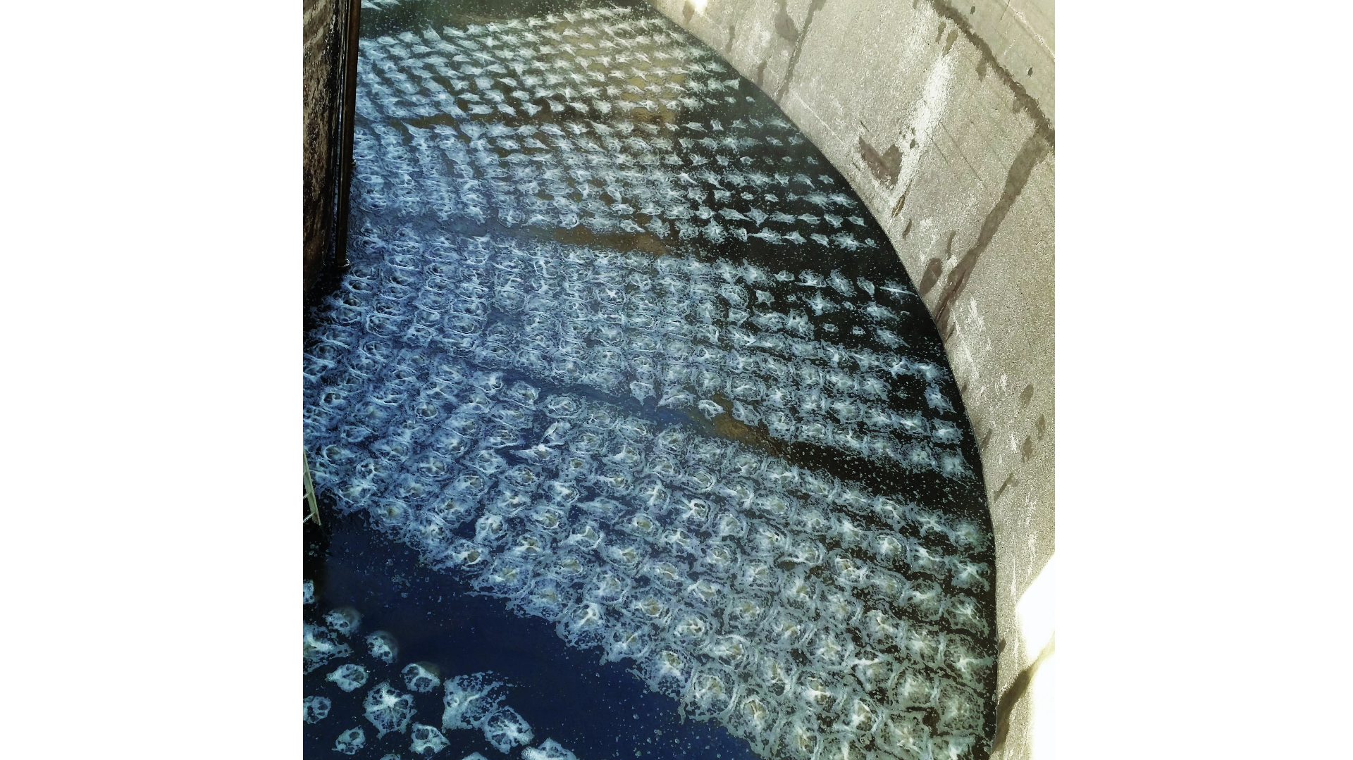 Aquadisc®  : Fine-bubble air tube diffusers