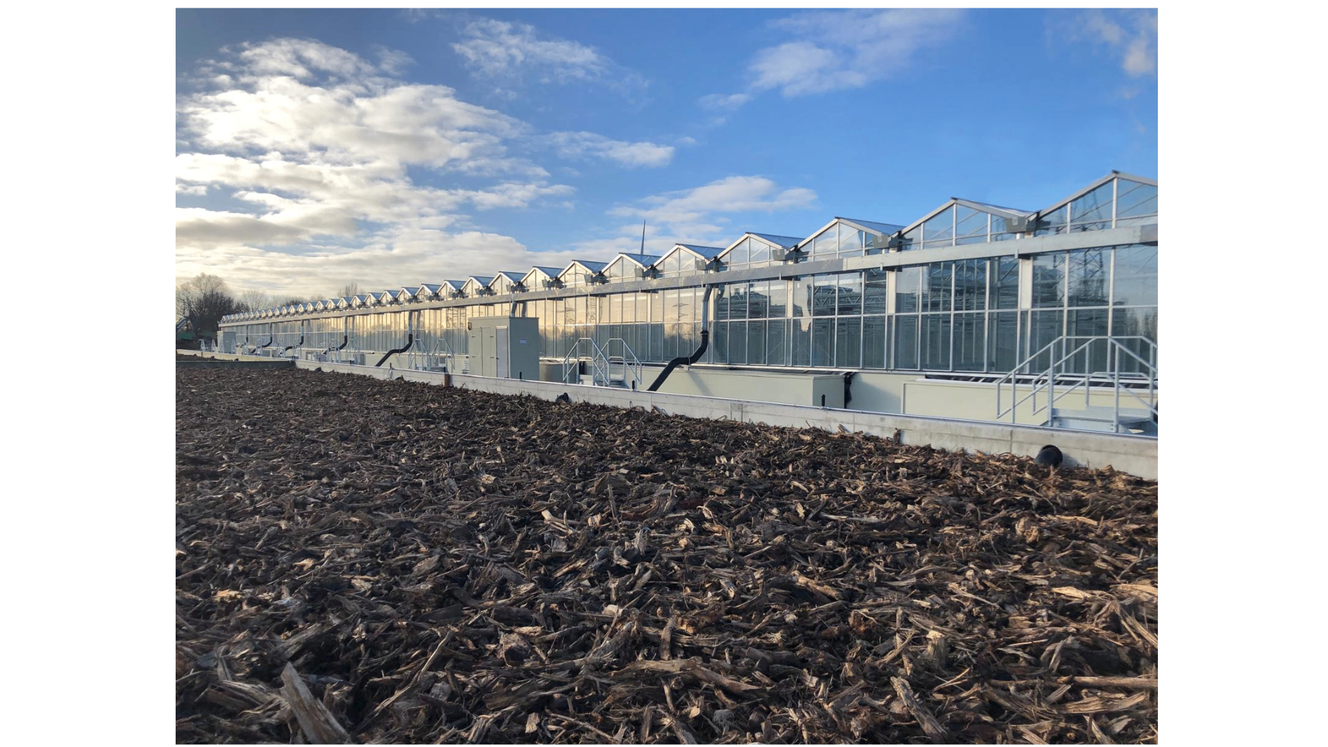 World’s largest solar-thermal drying plant with air treatment