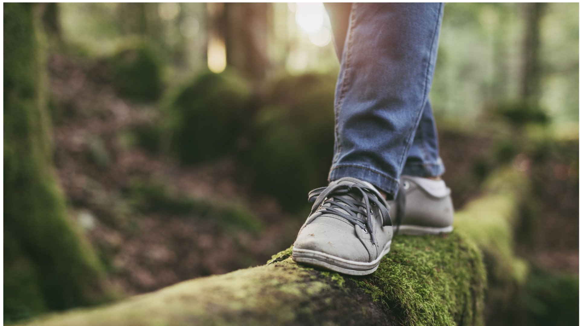 Superfloc BioMB polymers