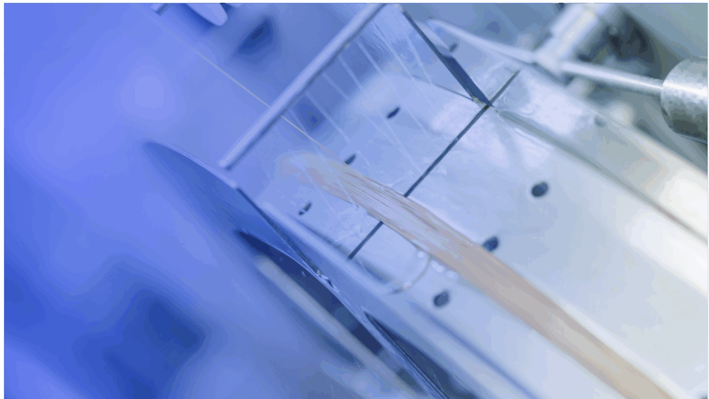 Membraan Ontwikkeling