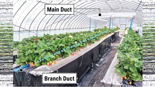 D&F Techniek introduces Japanese CO₂ capture technology to European greenhouses