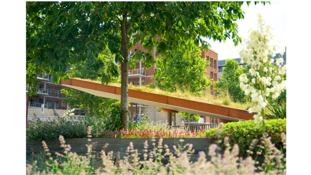 Groen als strategisch fundament: hoe Arcadis groen inzet voor klimaat- en wateropgaven