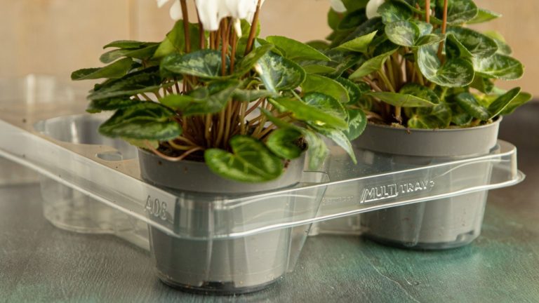 Tuinbouw trays