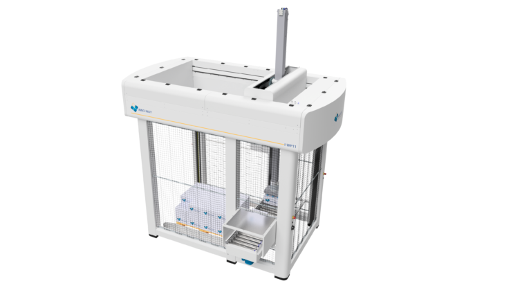 I-WP Gantry Palletiser