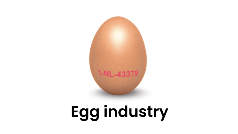 Egg industry