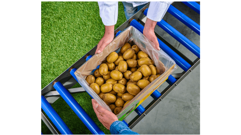 Packing fruit and vegetables by machine