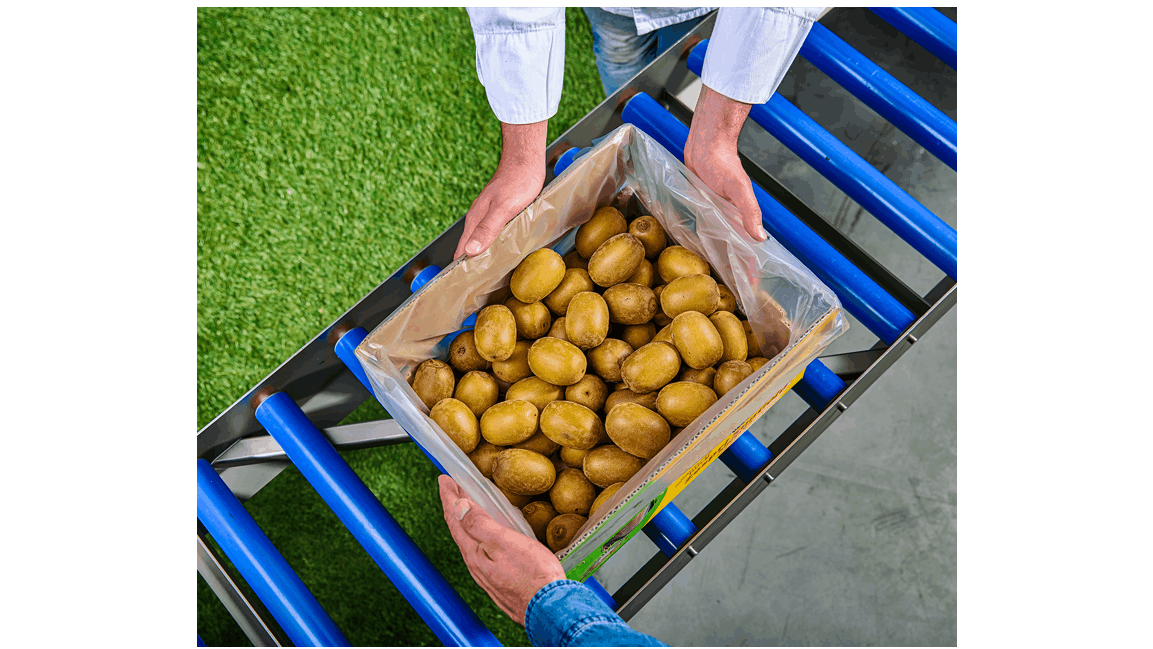 Packing fruit and vegetables by machine