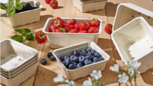 Molded-Fiber op Empack