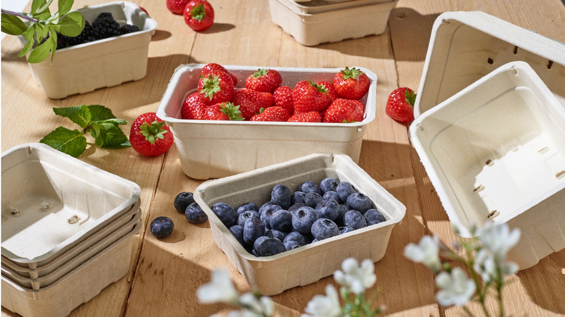 Molded Fiber: een duurzaam alternatief