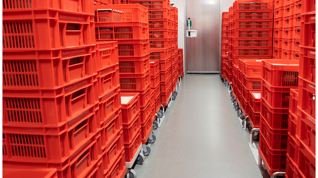 Plastic crates for ice cream storage