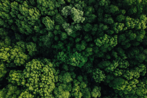 Bio-economy verpakkingen