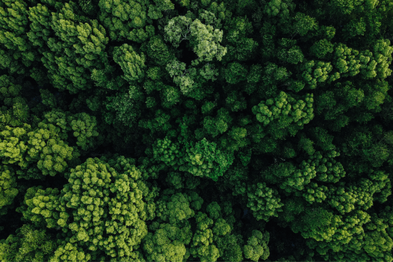 Bio-economy verpakkingen